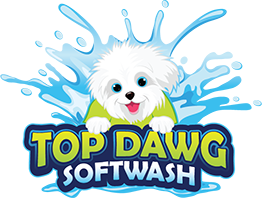 Top Dawg SoftWash, LLC